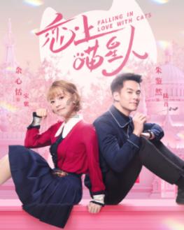 只有师范生才可以当老师么?-有问必答平台,助您解决问题